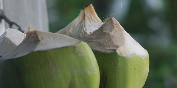 Health Benefits of Coconut Water - Mira Healthcare