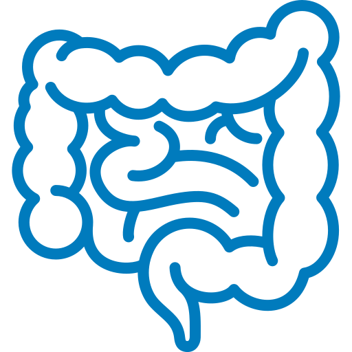 intestine