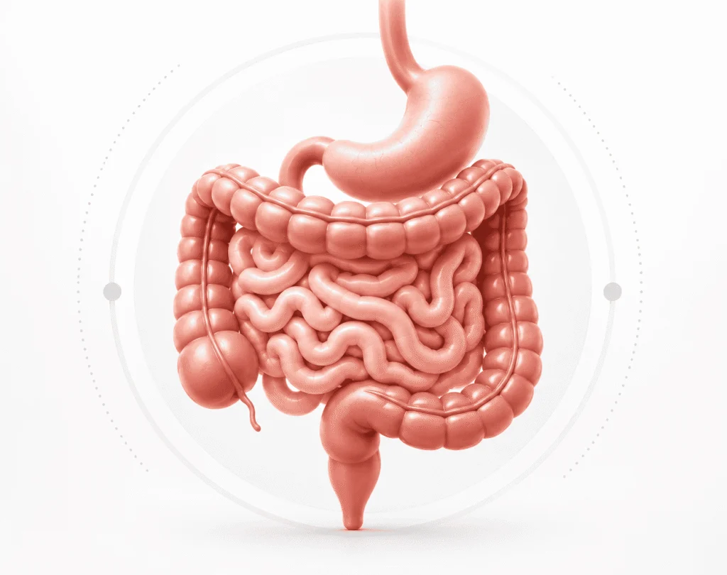 MIRA-Healthcare-Gut Health & Wellness Centre