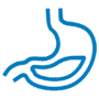 Excessive gas in the stomach