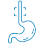 esophagus (1) esophagus (1)