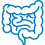 intestine